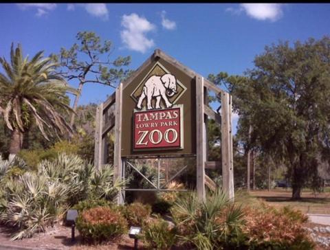 Bush Garden Park Nearby Apartments Tampa Eksteriør billede